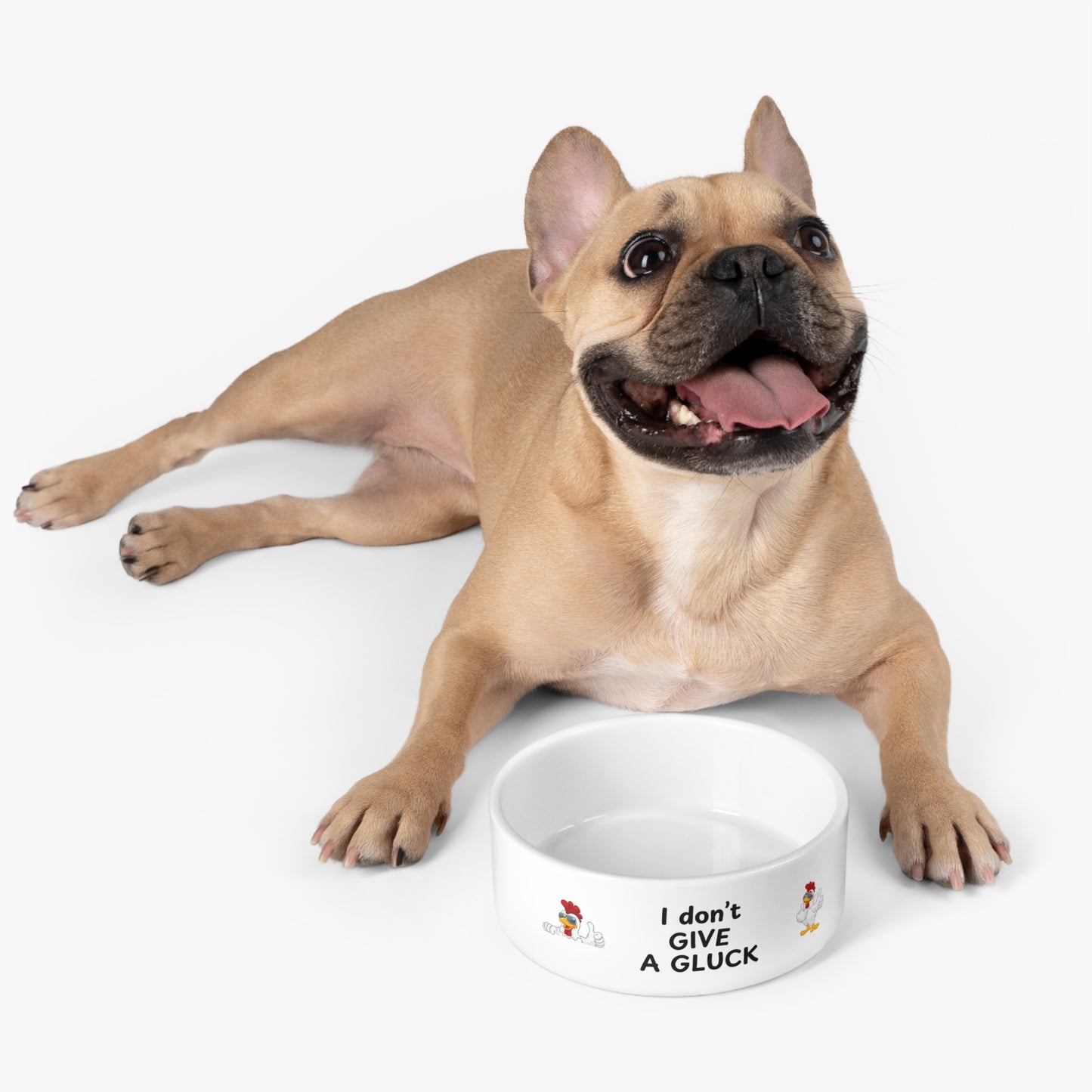Pet Bowl - Humorous Design for Your Furry Friend